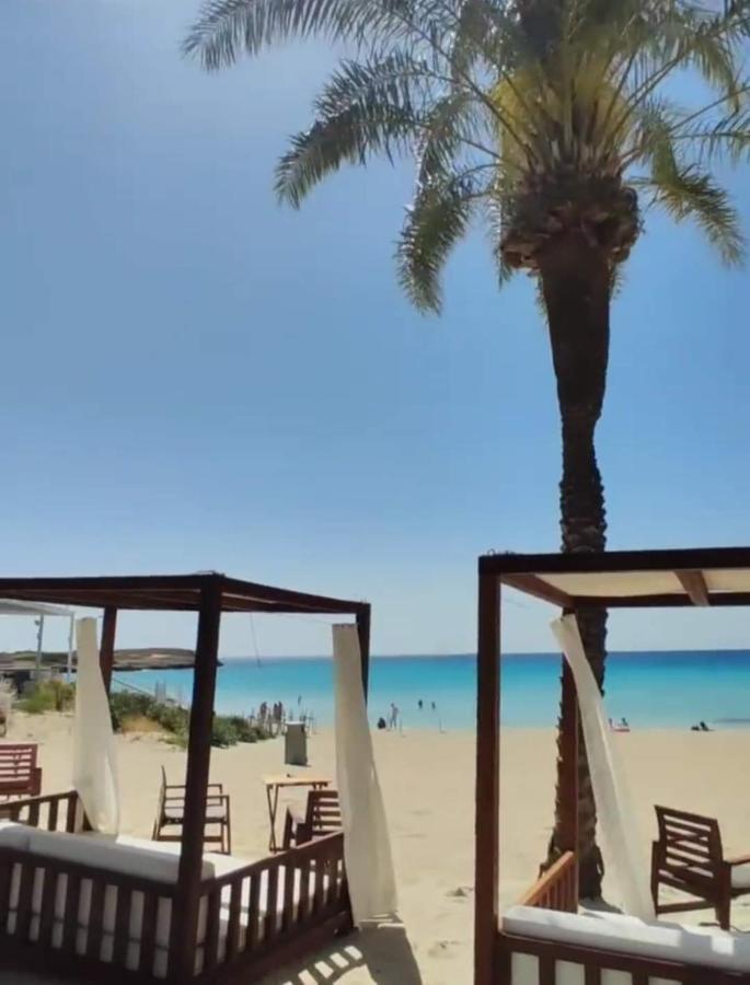 Nissi Golden Sands Sea View 2 Bedroom Apartment Ayia Napa Exteriör bild